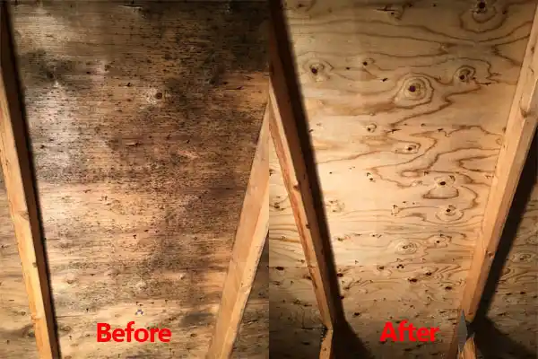water damage restoration service Kidron